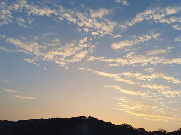 风景